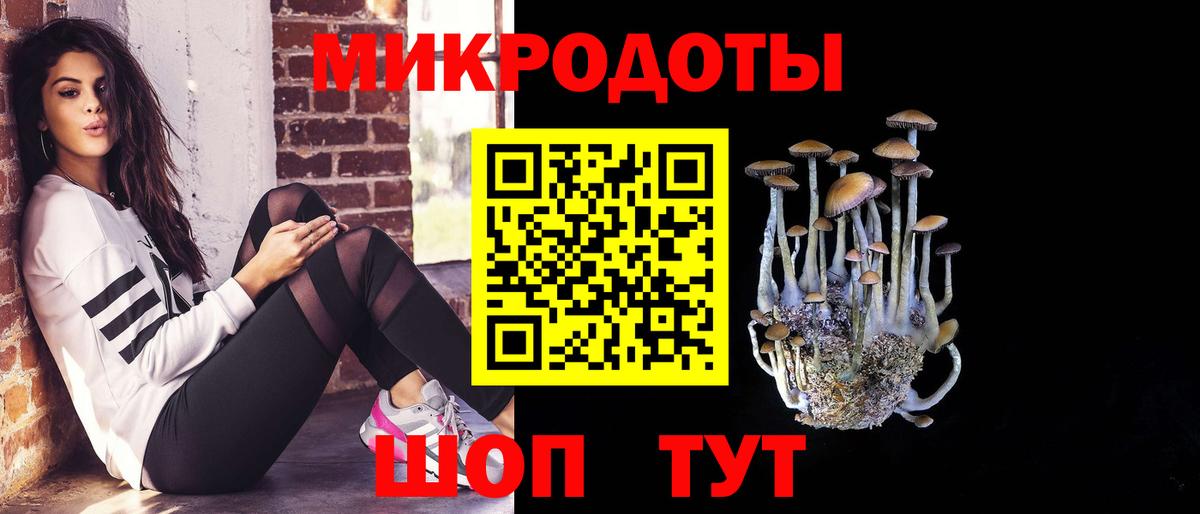 Псилоцибиновые грибы MAGIC MUSHROOMS  Галлюциногенные грибы ЛСД  Вход с VPN  Саранск 