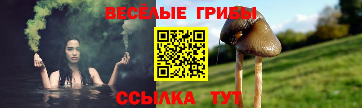 Галлюциногенные грибы мицелий Саранск